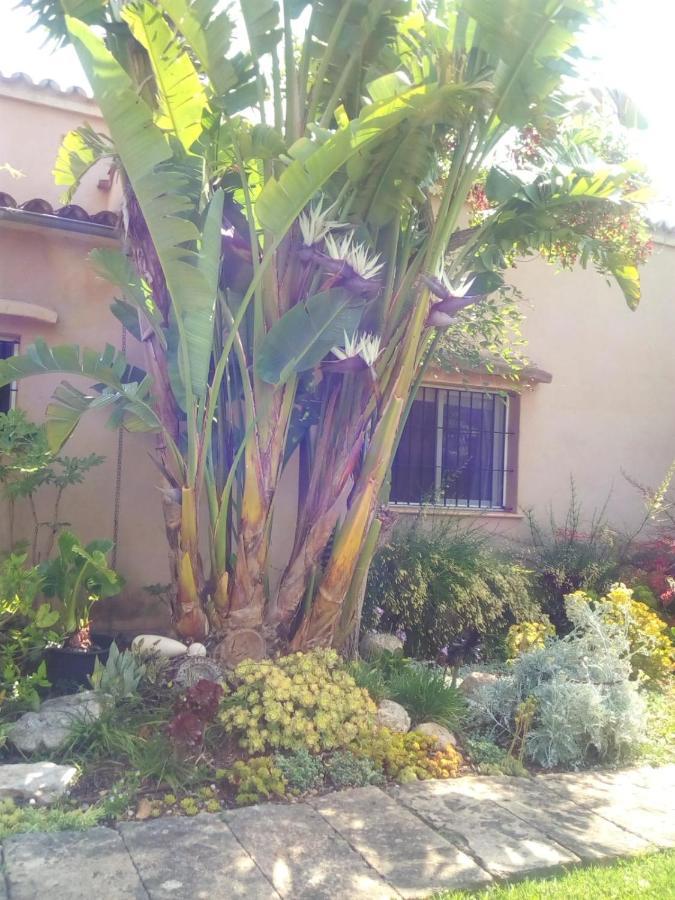 Arthouse Campos Mit Haus Galeria 110Qm Und Appartementhaus Mit Patio 30Qm 外观 照片