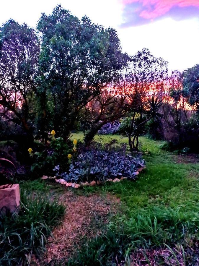 Arthouse Campos Mit Haus Galeria 110Qm Und Appartementhaus Mit Patio 30Qm 外观 照片