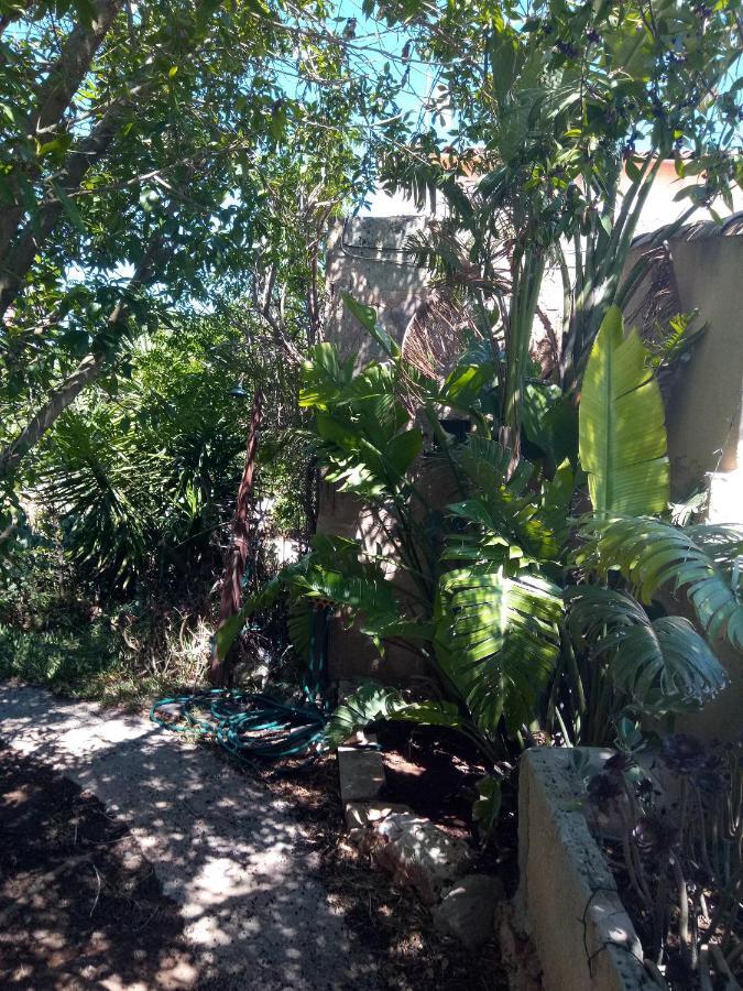 Arthouse Campos Mit Haus Galeria 110Qm Und Appartementhaus Mit Patio 30Qm 外观 照片